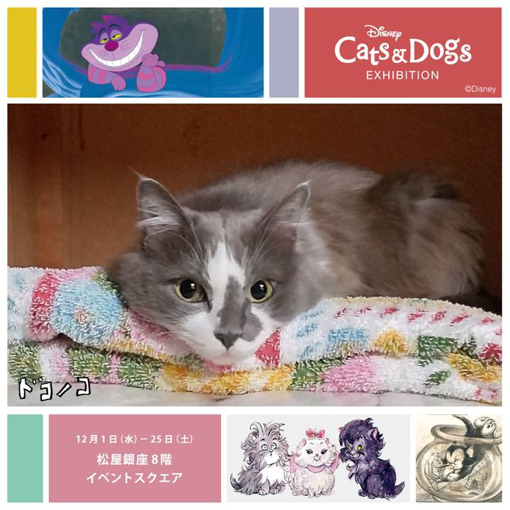 Df6de3c4 5ab1 4f59 895f 802208f685fa 1638536472549