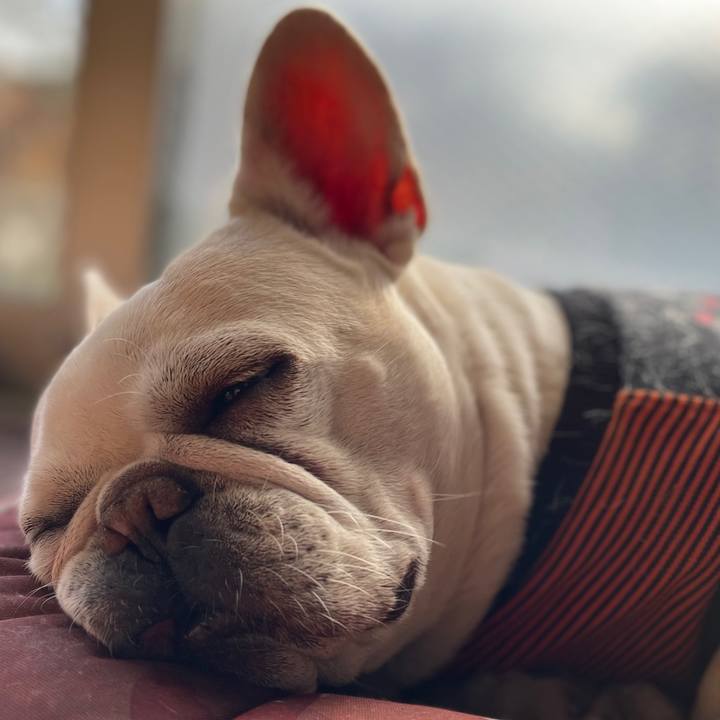 Df6dfadf 24ec 4770 aed2 70784df2ddce 1768715700800