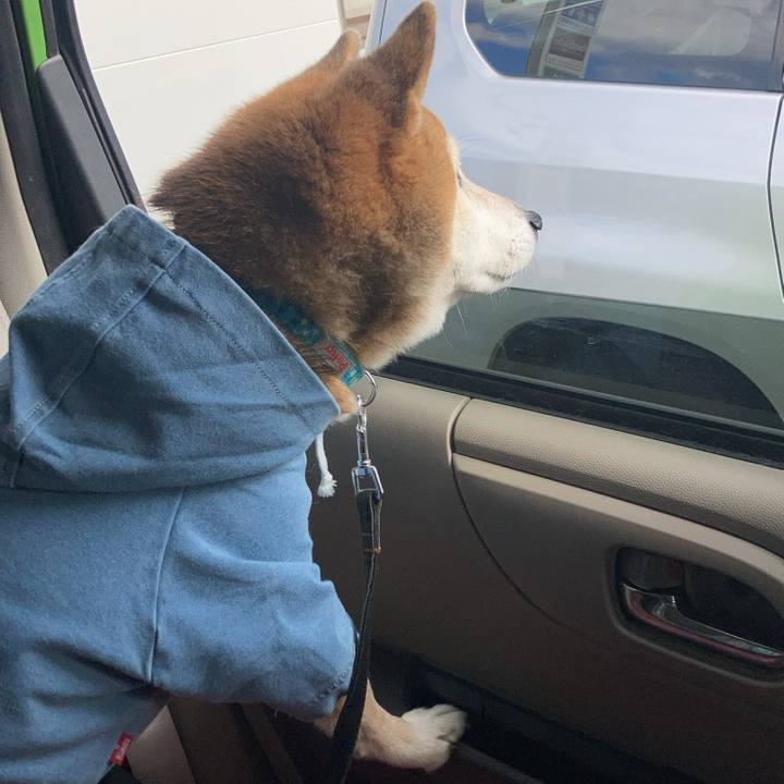 Df6e06ba 8a87 43ec b1df 464765cd76f2 1761624031010