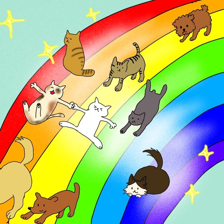 Df6e0f04 4a95 4d09 9e34 8c0eddcc0cc3 1597417482675