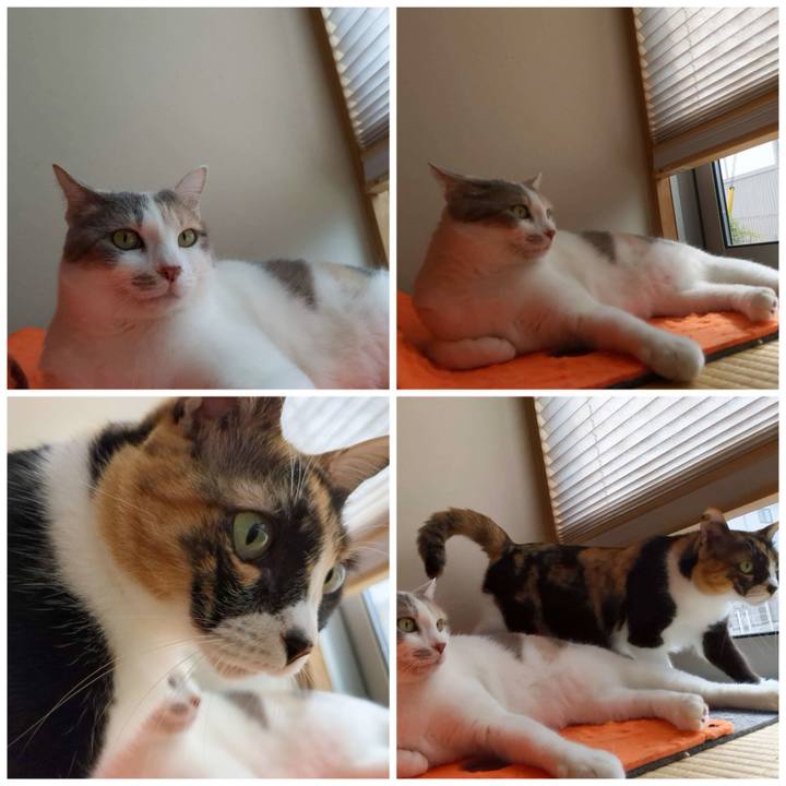 Df6e11c8 d003 4686 b0b2 d12aaf129fa5 1682051176510