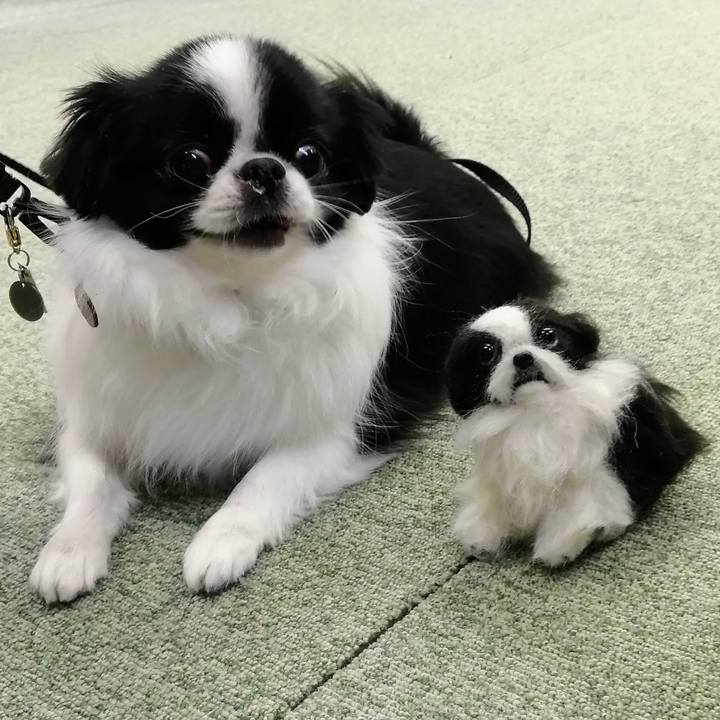 Df6e28cc 0969 48c9 9b31 da40913104da 1677395805907