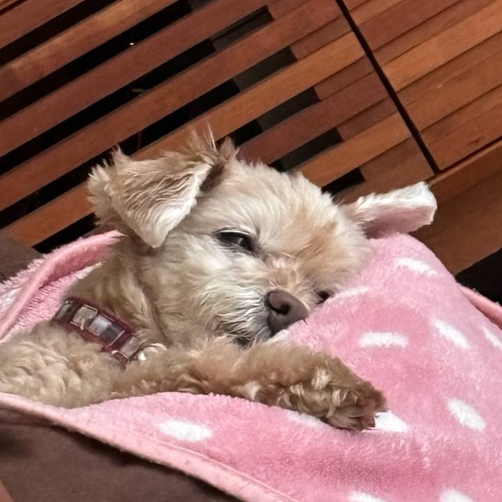 Df6e50f0 81dd 48b7 a1d3 516b53443376 1719100614017