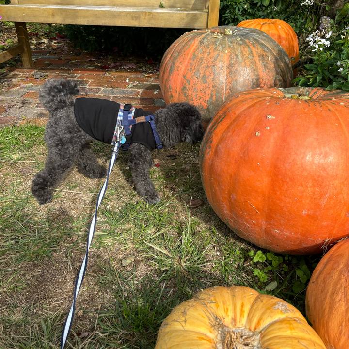 Df6e5c9b e49f 4629 8ee4 0e697c84089c 1730272060630