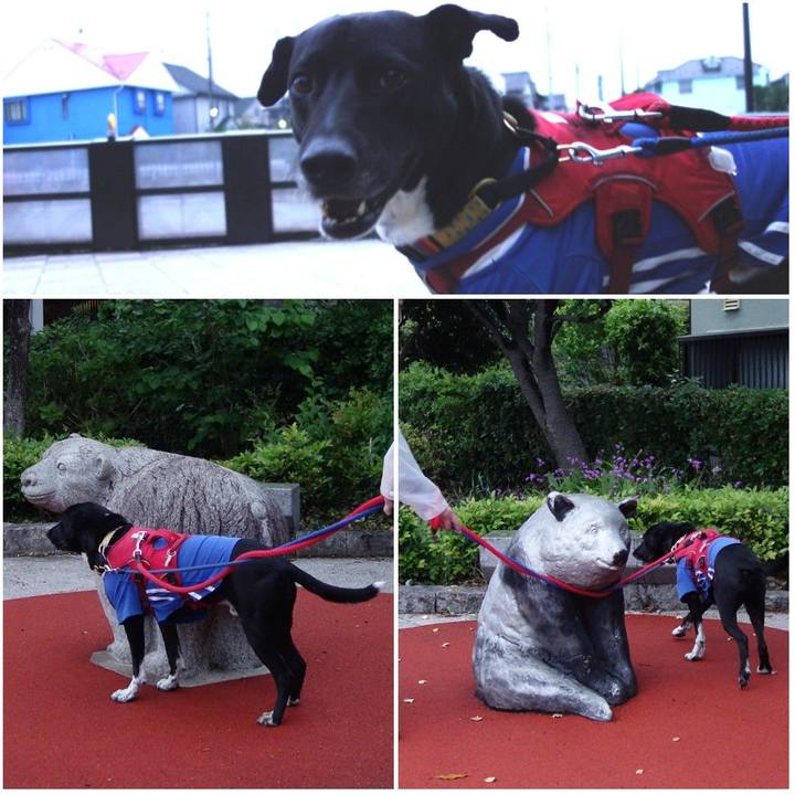 Df6e6258 2764 4cfb 8dac 5c1571ee41e9 1620903536191