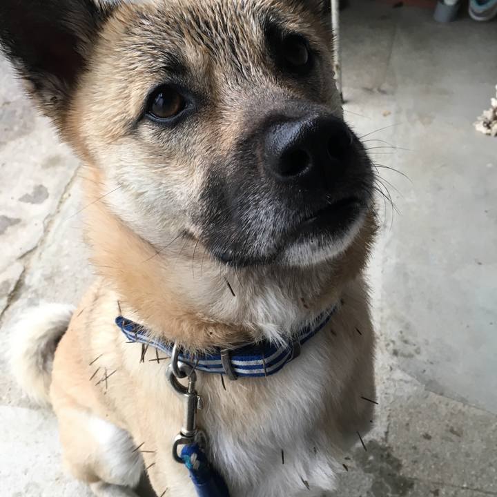 Df6e9e11 fef8 40a8 ae6c 5698d43599b7 1514697814715