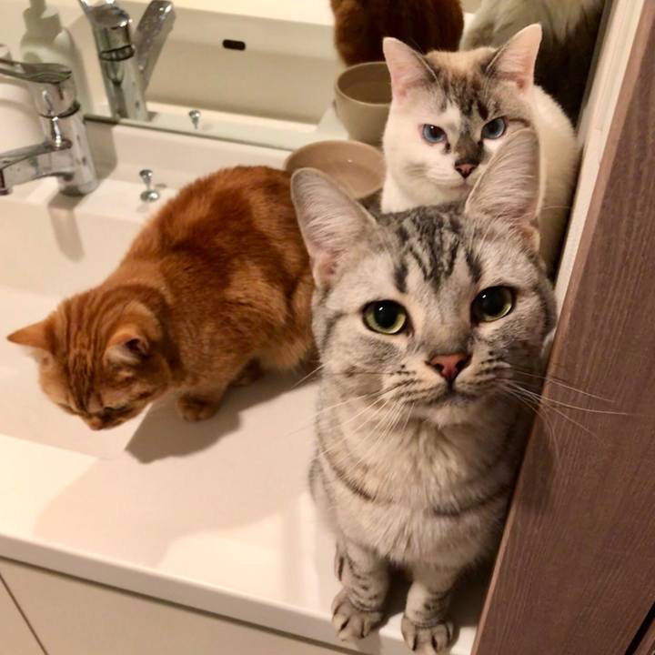 Df6ea16d 4c4a 4ccc a008 b3281142cb57 1514600296047