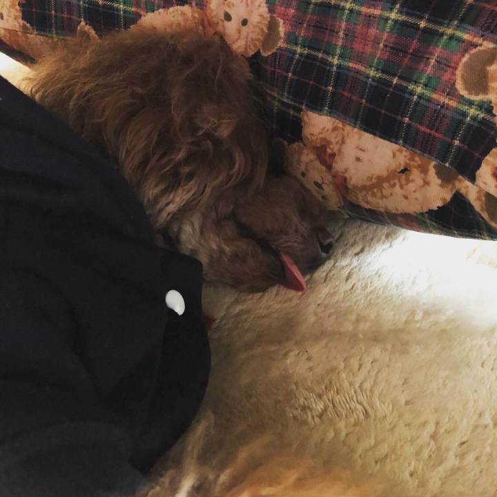 Df6ec173 f0f3 4d2c b9d0 891bc5aee452 1575706717076