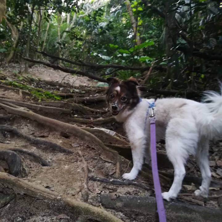 Df6ee2aa 053f 4157 a047 be62d85f973e 1543143804591