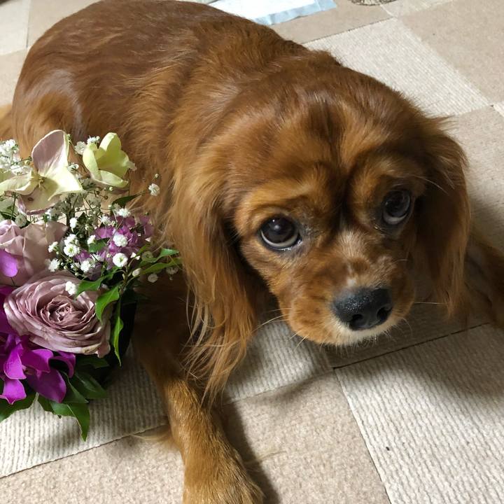 Df6f003a d182 482e 9040 c8da70cca464 1545690028566