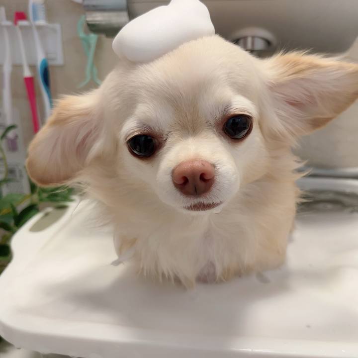 Df6f1077 087d 4e8e b6dc c8026abc7943 1731331106709