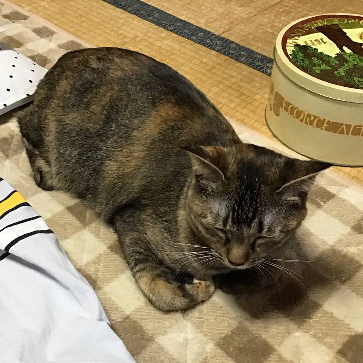 Df6f4a58 67ab 4901 af66 d624168aa90b 1607753609972