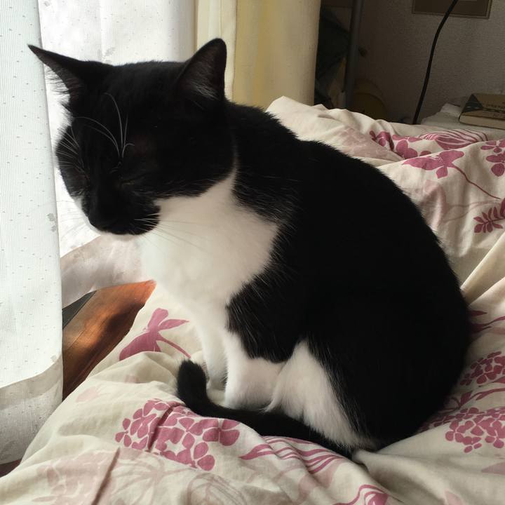 Df6f4c09 9094 4156 9d3f 5073b575e3f3 1539780312985