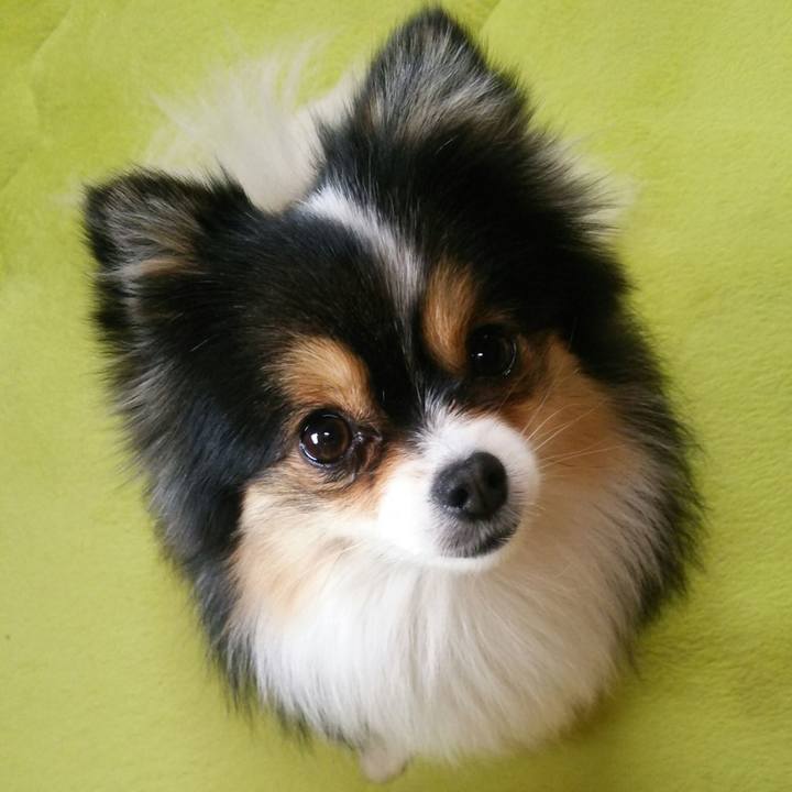 Df6f55a7 8d12 4558 ac0f 14d3934a16e6 1517099926957