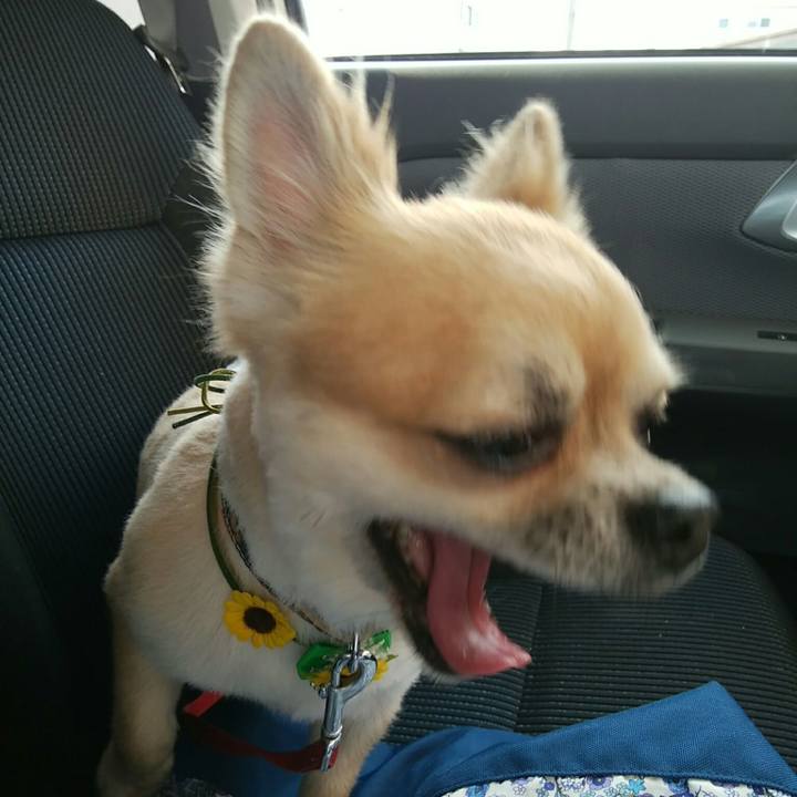 Df6f84d3 d956 4e71 9e52 71c2a1a45309 1531810386495