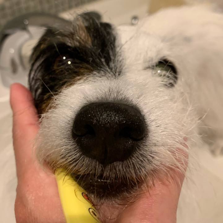 Df6f8825 160e 4b94 b77d 7a0ea46fdb04 1686314926099