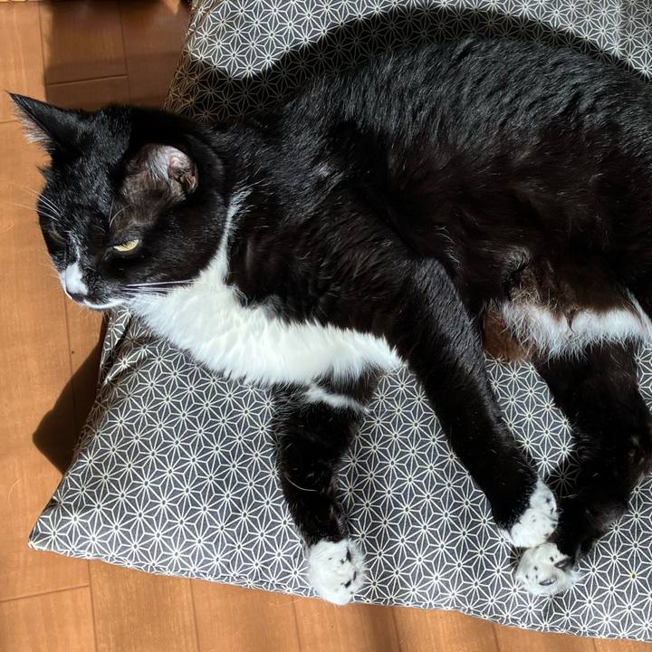 Df6f98c7 9fe4 420c 8fba a2e39461a11d 1763958742488