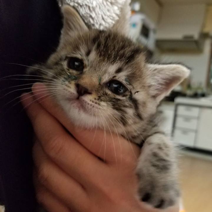 Df6f9bbb f022 416a 8dab 4510658a10ad 1660575463820