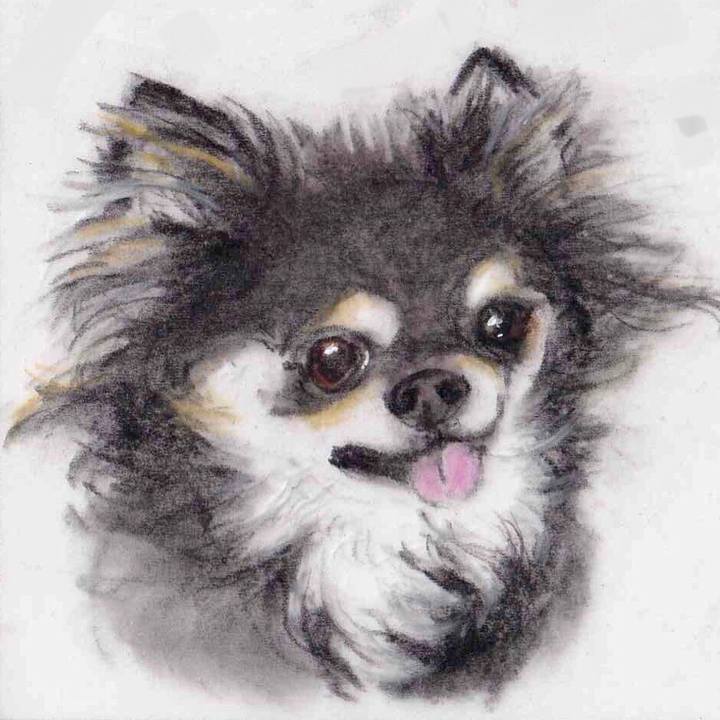 Df6fc7ae 1d89 4dbc 95af 5bb23d34804b 1638891912593