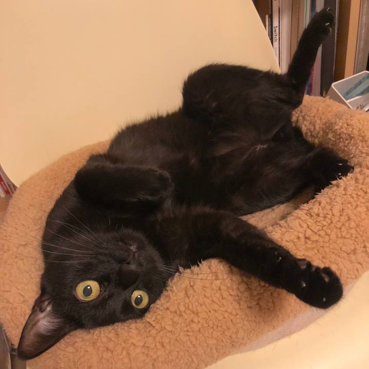 Df6ff805 b8e7 4938 82bb 82f61a51aaea 1532173603329