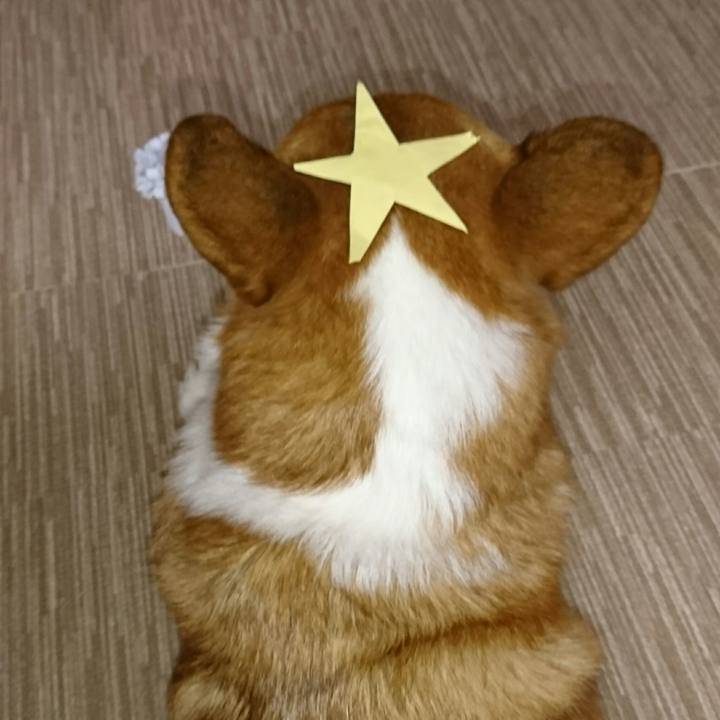 Df709e2a 3862 4c0b 89d8 a042e5c849ef 1545561874834