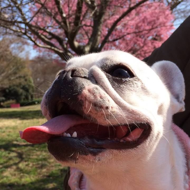 Df70b78e 4f96 4d8a ae8b 669548671465 1521949132890