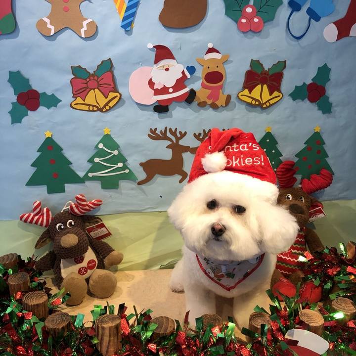 Df70d42a f3aa 4b9c b13e a7abc5031a52 1639452884137