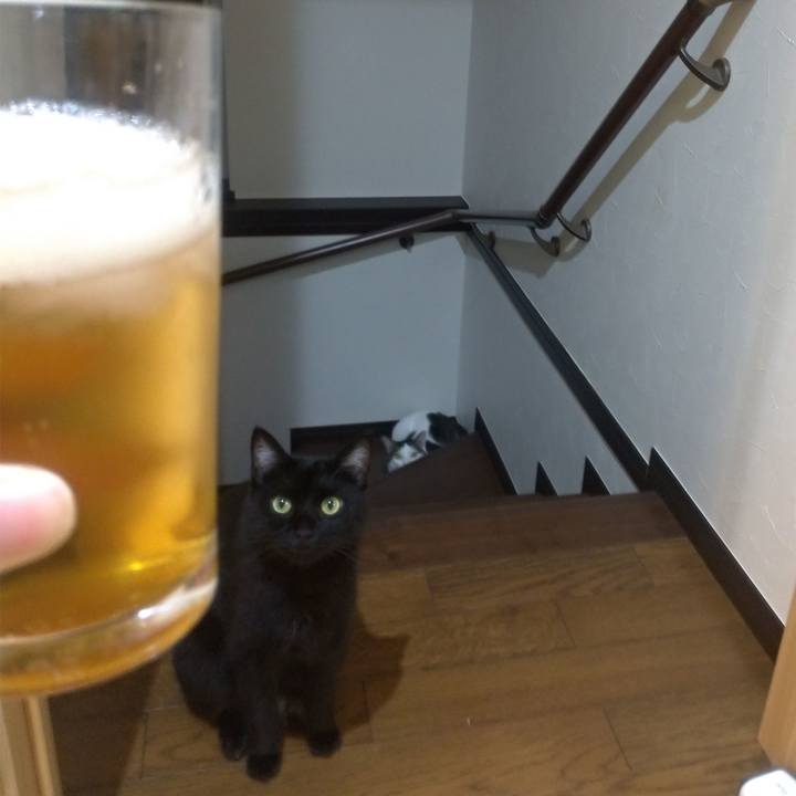 Df711092 34ab 4b90 b819 c9a7261be105 1564583722442