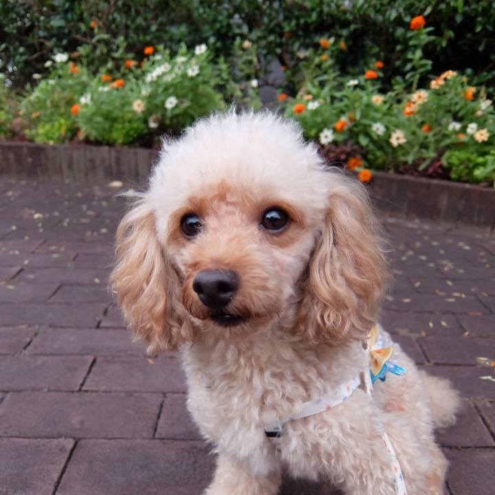 Df713ec4 bc24 41c8 8b59 573ca696022c 1538136178008