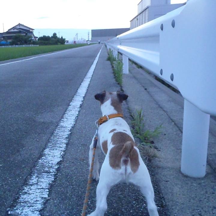 Df7165d5 7eee 4809 9cfd 2ec14a00c515 1531056888246