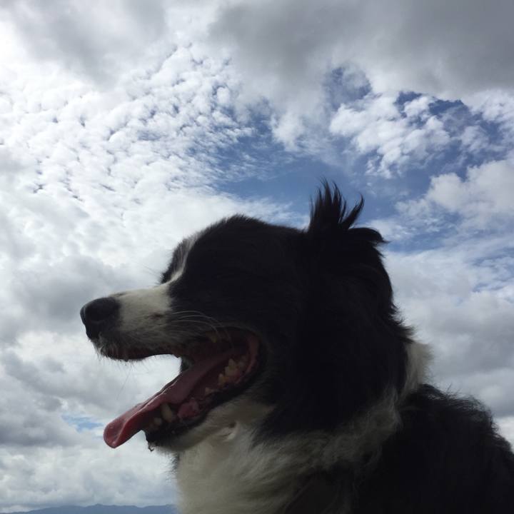 Df71a0ba d136 4aee b122 44e5fe97b5b7 1563932376371