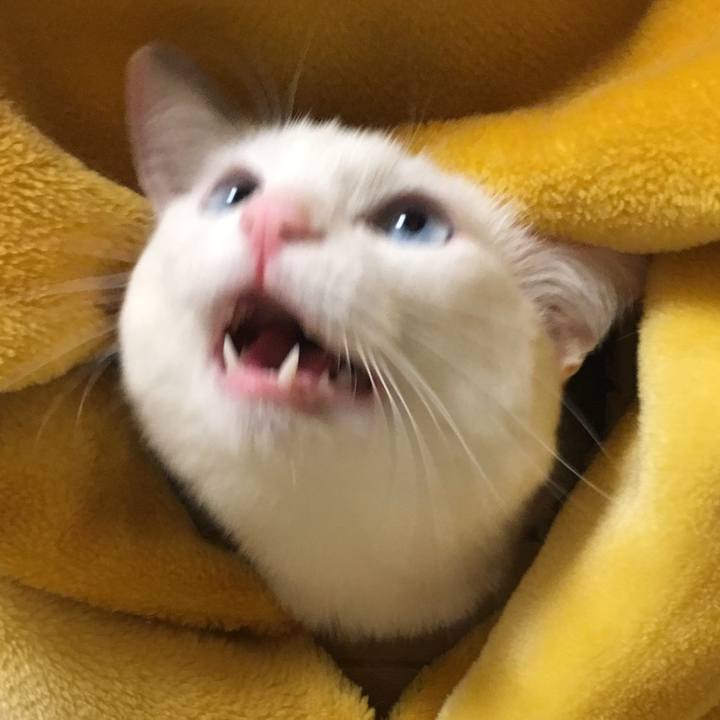 Df71a6ef 1aa7 42e5 8179 c105d0b4b3de 1521030071058