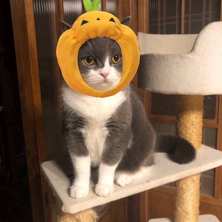 Df71b776 fbe4 4524 91e4 4e2dd72f77e7 1572481938980