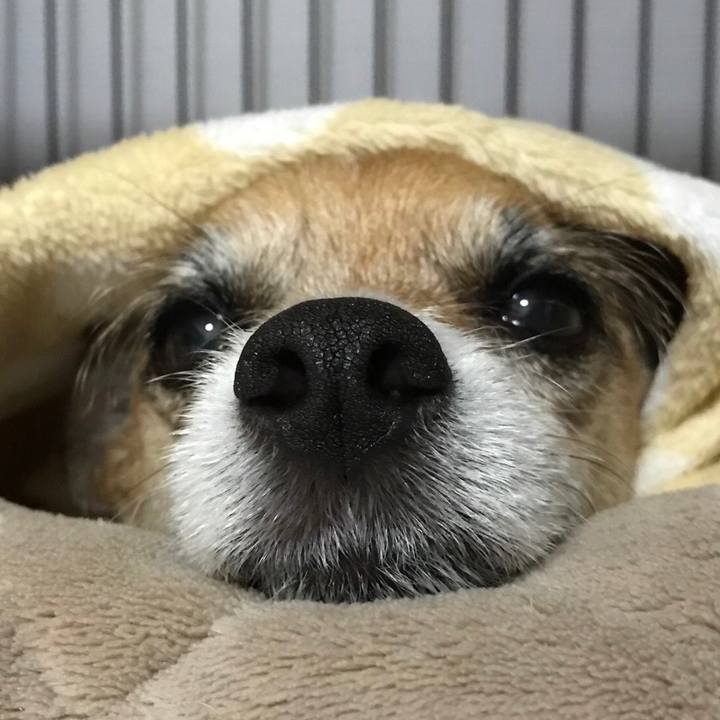 Df71c0c6 36b2 448f 95bc 285c8a8ff7ac 1554552004001