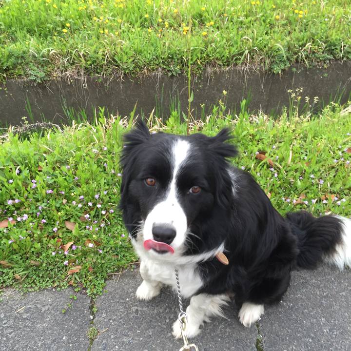 Df720216 58bc 4ca5 a3a5 053fffe06a34 1523919103294