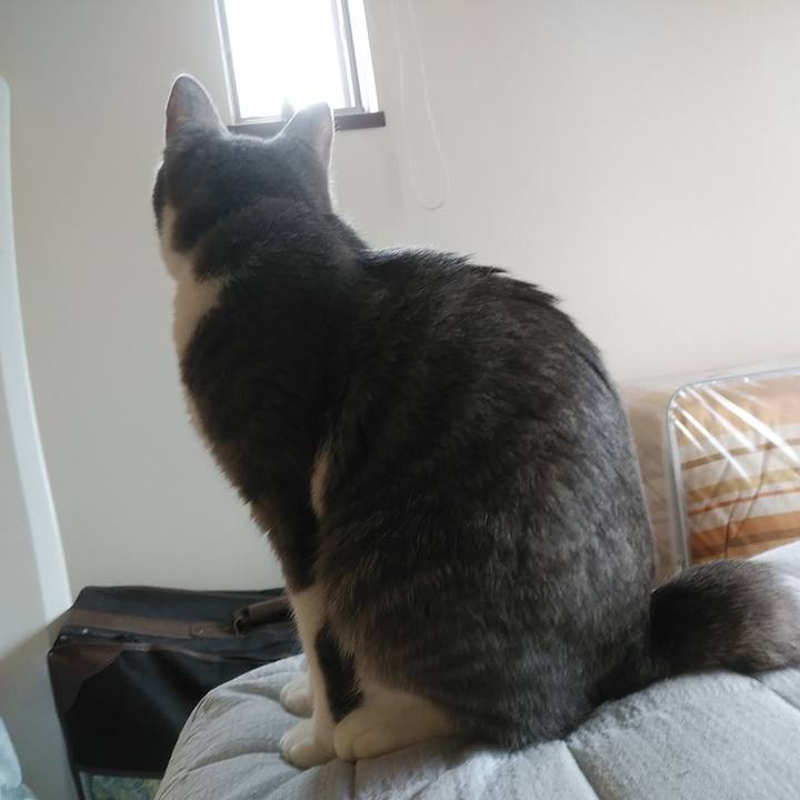 Df721620 3f1c 4d8a 872a 0a32581cf3c6 1589582534747