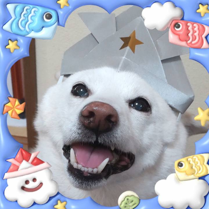 Df7228fd 176c 4f73 a1d1 96de4c74bc6e 1683255808004