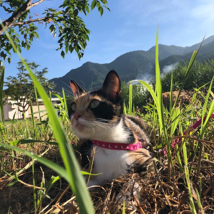 Df722a23 adfb 473a 8d71 c2fff430e1d8 1597790649340