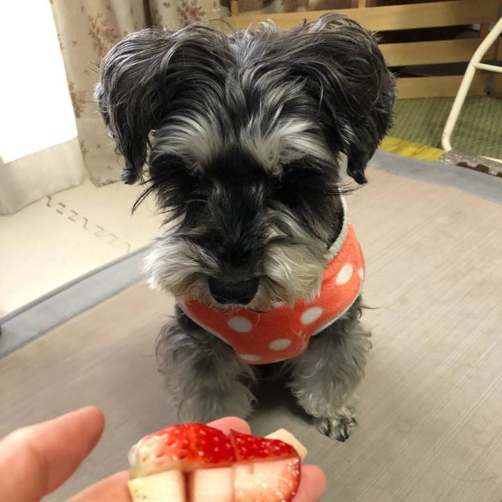 Df7250da 7582 4bb1 9cb7 8234092c29a5 1645336423341