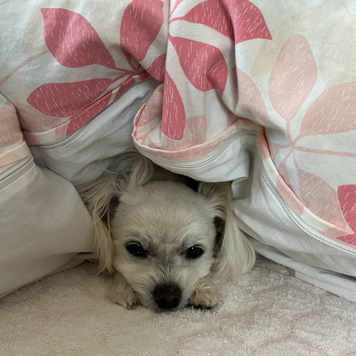 Df728212 7f6f 4e5b b4c0 dba77f386253 1682984612826