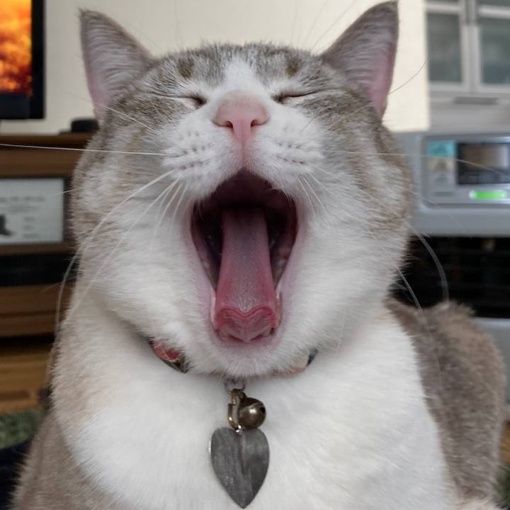 Df729093 be0b 4ac8 919e a5d64abef0ec 1614411090335