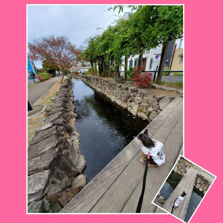 Df7297ef 2910 43c6 ba52 09c608815dea 1668325788624