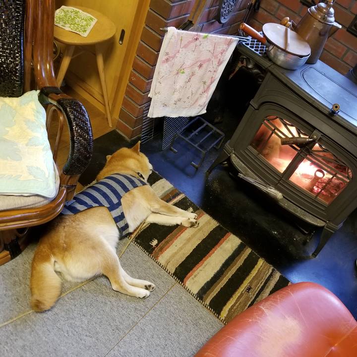 Df72b884 4537 407f 9a27 fc8ca1ee108c 1578871942052