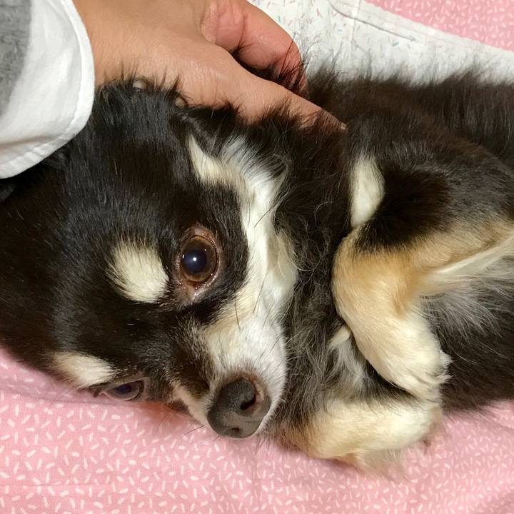 Df72d3a5 ce00 448f 8bfe cf1b846a4673 1516800358666