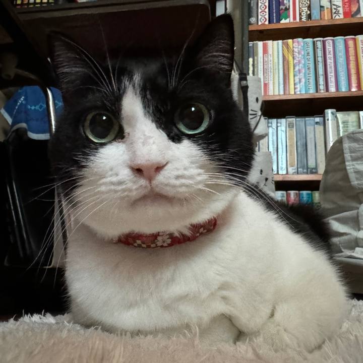 Df732058 d97c 4bb9 b0d1 ec67a0f8e599 1735376754691