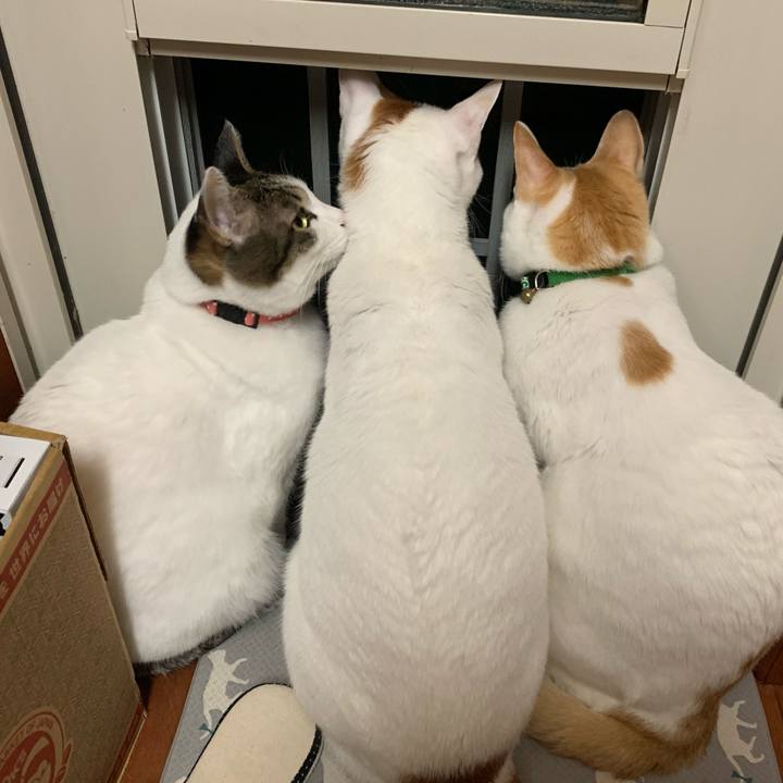 Df73657f ee15 471b 953f 5160fc29cc4c 1578409600525