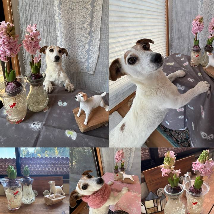 Df7380c2 6a78 4022 8338 b1fc43402077 1769243899789