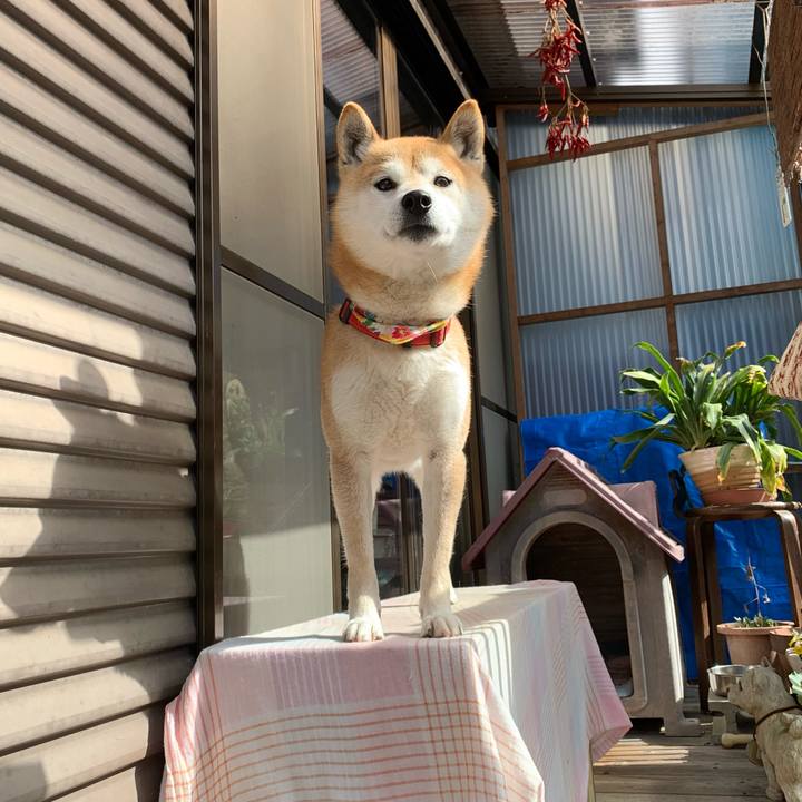 Df73a784 c9f2 42cf b8a6 4c99c5739665 1615424646132