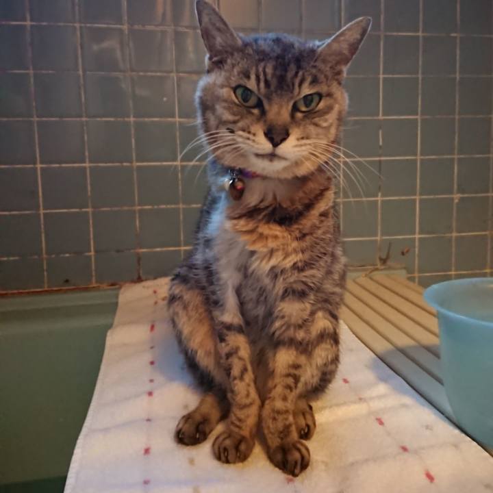 Df73d40d 2cd3 46c3 a6c5 79c7ca624a34 1594635211775