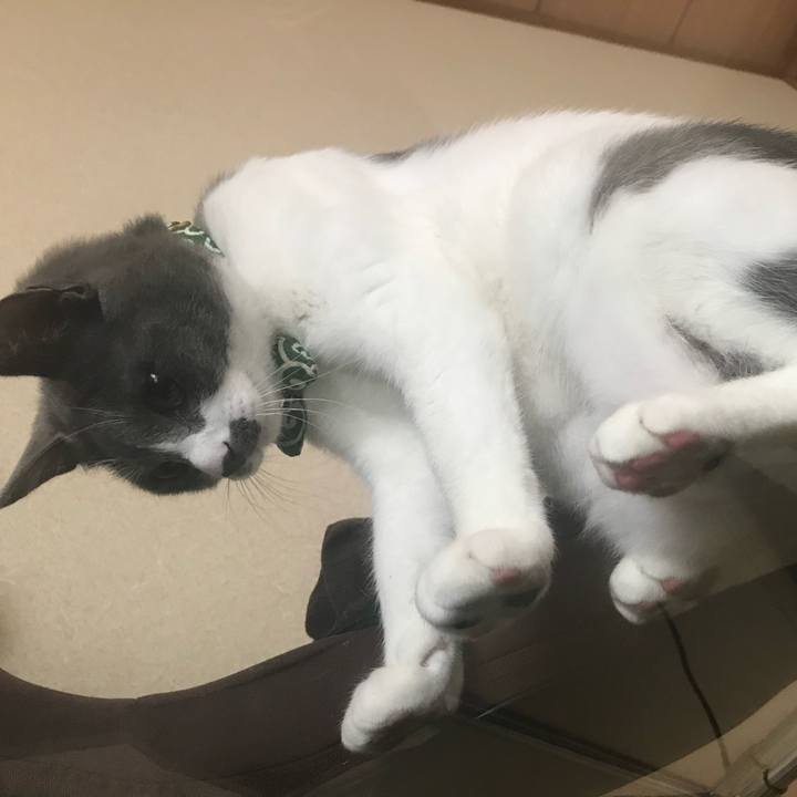 Df73eefd 48e4 4bb9 a2c9 66977d67752e 1743008140665